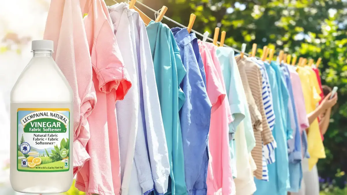 De geheimen van zacht wasgoed: waarom u het wasverzachter van uw wasmachine door dit natuurlijke ingrediënt moet vervangen?